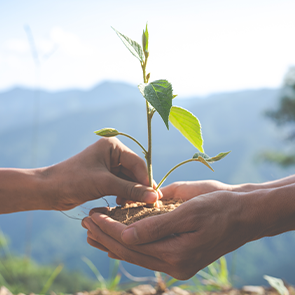 SUSTENTABILIDADE