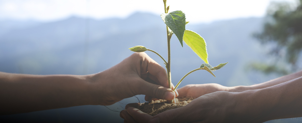Sustentabilidade
